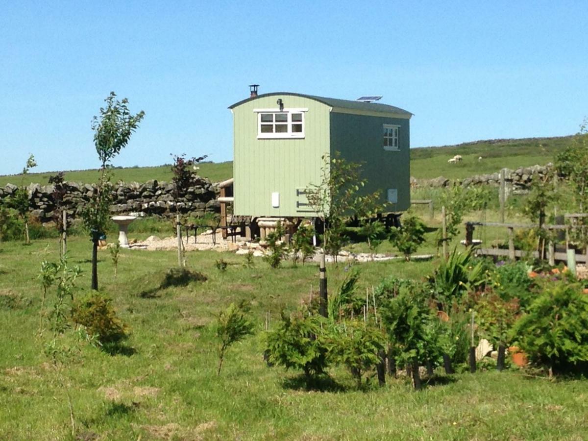 The Buteland Stop Rosie Off Grid Shepherds Hut 벨링헴 외부 사진